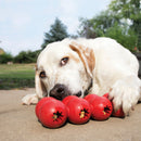 KONG Goodie Ribbon Dog Toy - Percys Pet Products