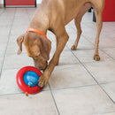 KONG Gyro Treat Dispensing Dog Toy - Percys Pet Products