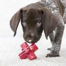KONG Jump’n Jack Dog Toy - Percys Pet Products