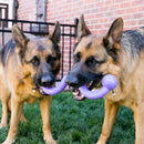 KONG Ogee Stick Dog Toy - Percys Pet Products