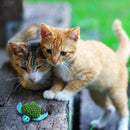 KONG Refillables Turtle Cat Toy - Percys Pet Products