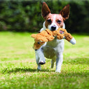 KONG Scrunch Knots Dog Toy - Percys Pet Products