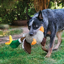 KONG Shakers Honkers Dog Toy - Percys Pet Products