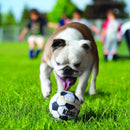 KONG Sport Balls Dog Toy - Percys Pet Products