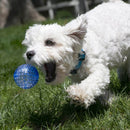 KONG Squeezz Geodz 2 Pack Assorted Balls - Percys Pet Products