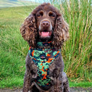 Long Paws Earth Friendly Trekker Dog Harness - Percys Pet Products