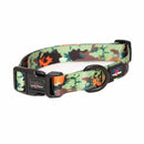 Long Paws Earth Friendly Trig Point Dog Collar - Percys Pet Products