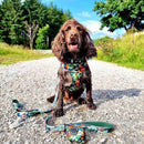 Long Paws Earth Friendly Trig Point Dog Lead - Percys Pet Products