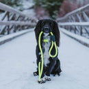Long Paws Neon Collar & Reflective Rope Lead Dog Walking Set - Percys Pet Products