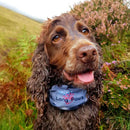 Long Paws PupStretch Geo Bandanas for Dogs - Percys Pet Products