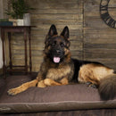 Scruffs Hilton Orthopaedic Memory Foam Dog Mattress - Percys Pet Products