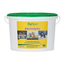 TopSpec Electrolytes Equine Supplement - Percys Pet Products
