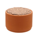 Versele-Laga Colombine Pickstone Red Pigeon Food 24 x 650g - Percys Pet Products