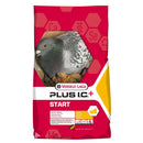 Versele-Laga Plus I.C. Start Breeding Mix for Racing Pigeons 20kg - Percys Pet Products